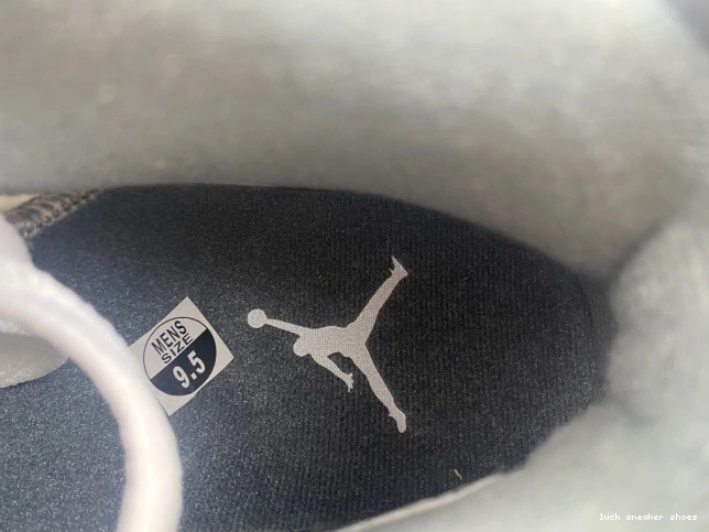 Reps LUCY 6 Air Cool Jordan CT8529-100 Grey 0728